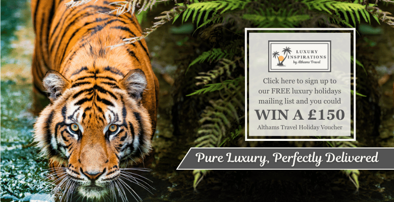 Luxury_Comp_Mobile_3