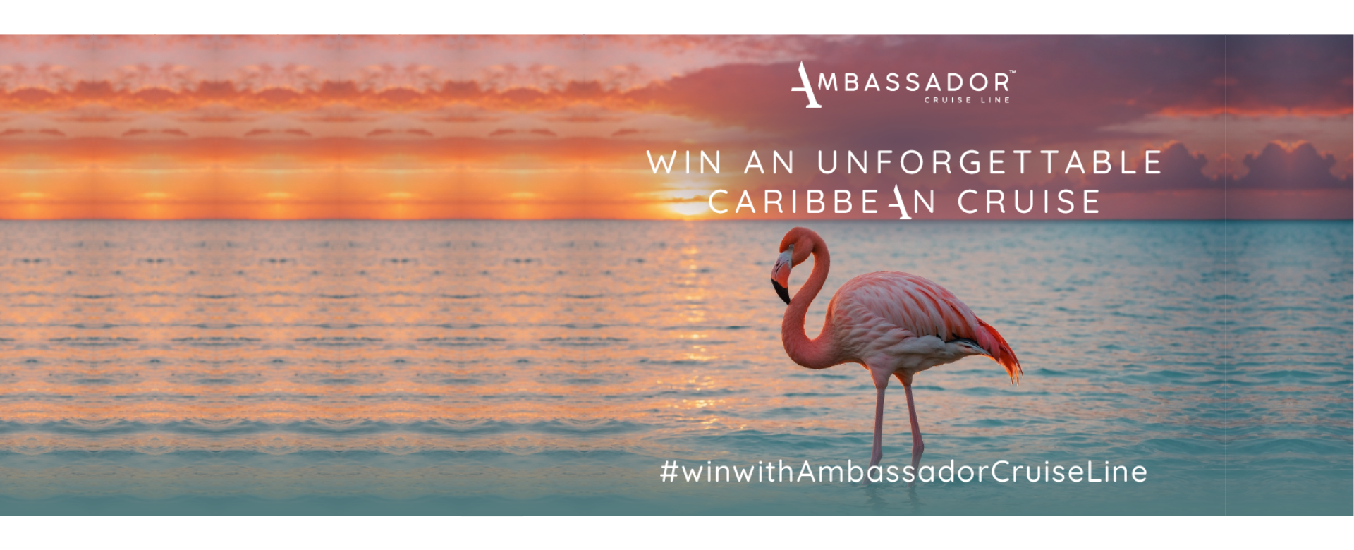 Ambassador_Win_A_Cruise