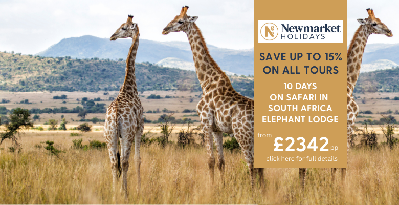 Newmarket_-_Safari_South_Africa