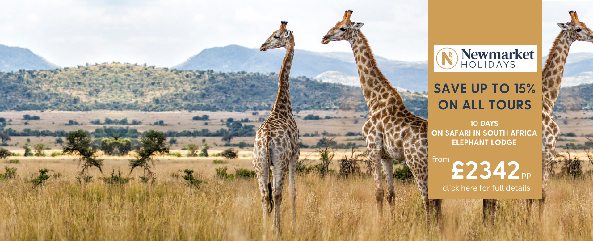 Newmarket_Elephant_Lodge__2