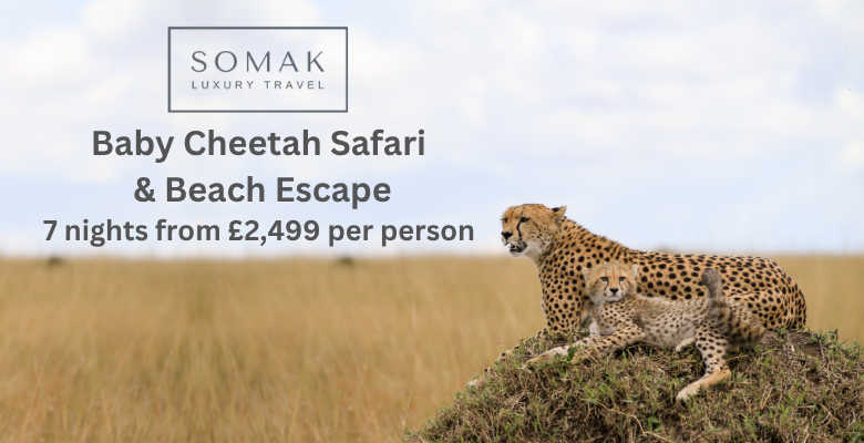 Somak_Safari_Mobile_