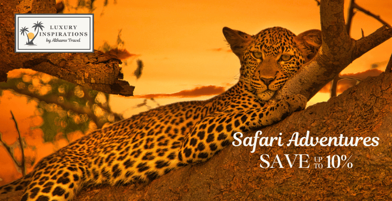 Website_Mobile_banners